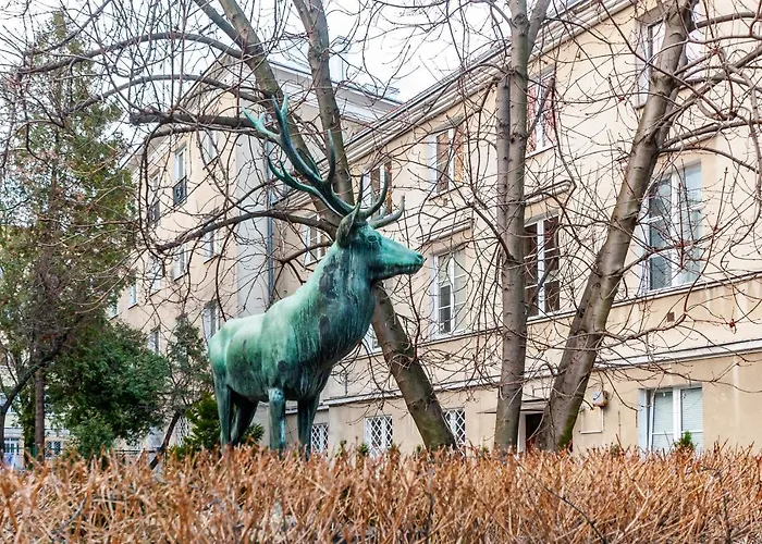 Apartment Nowy Swiat Cozy Apartment Warsaw By Noclegi Renters *